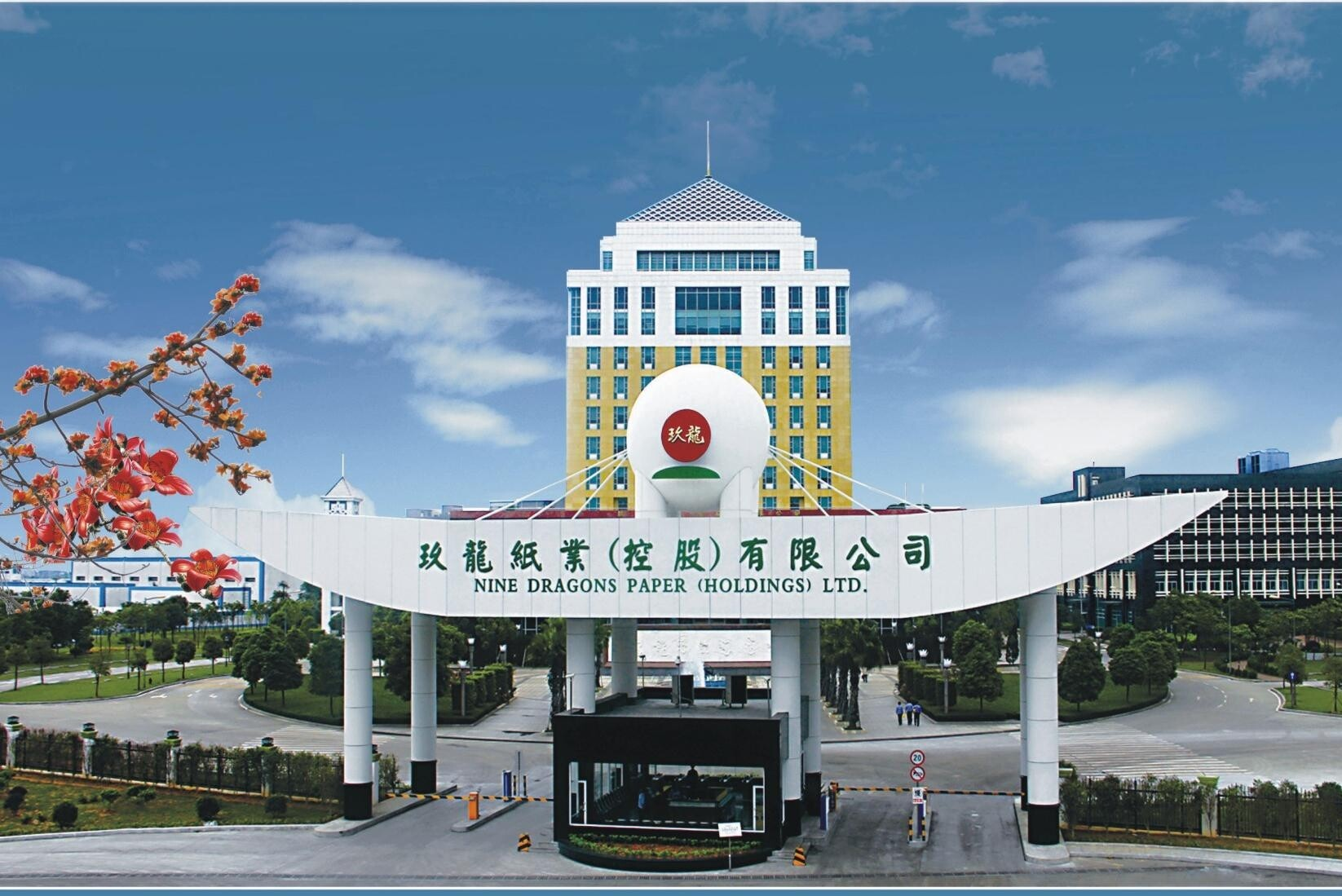 東莞九龍紙業